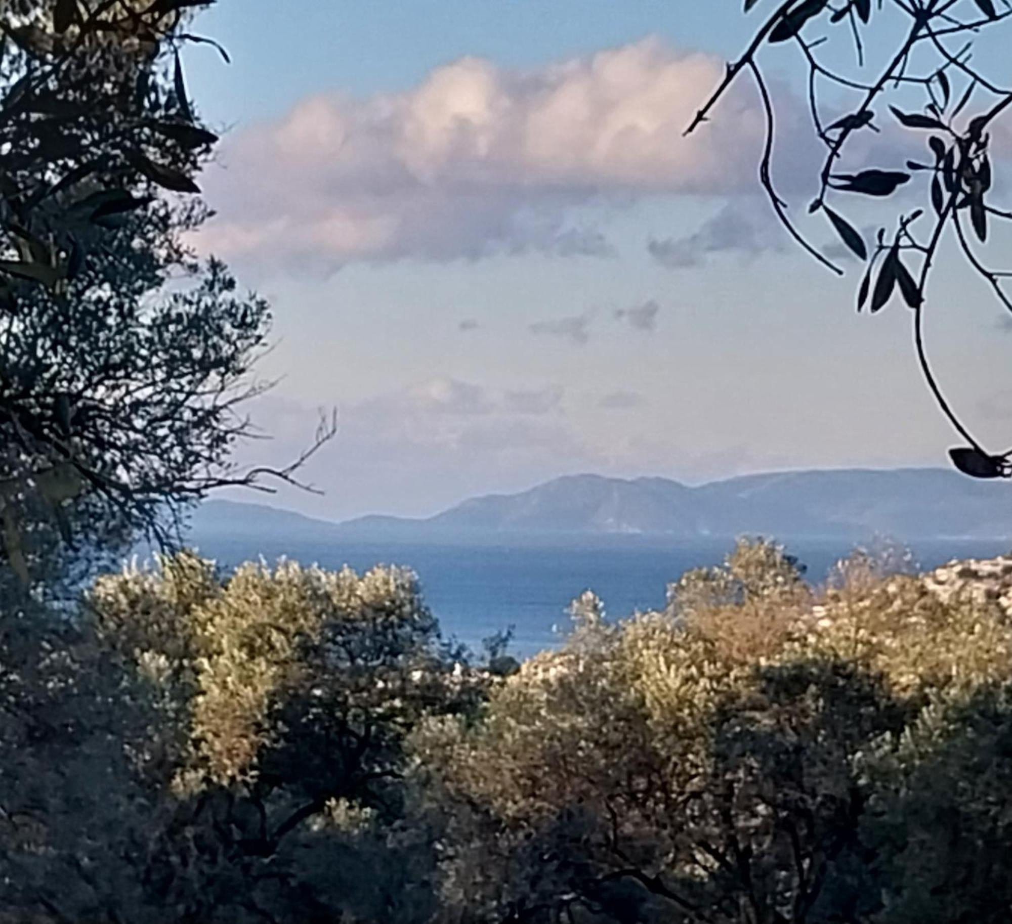 Oda ve Kahvaltı B&B Kusadasi *
