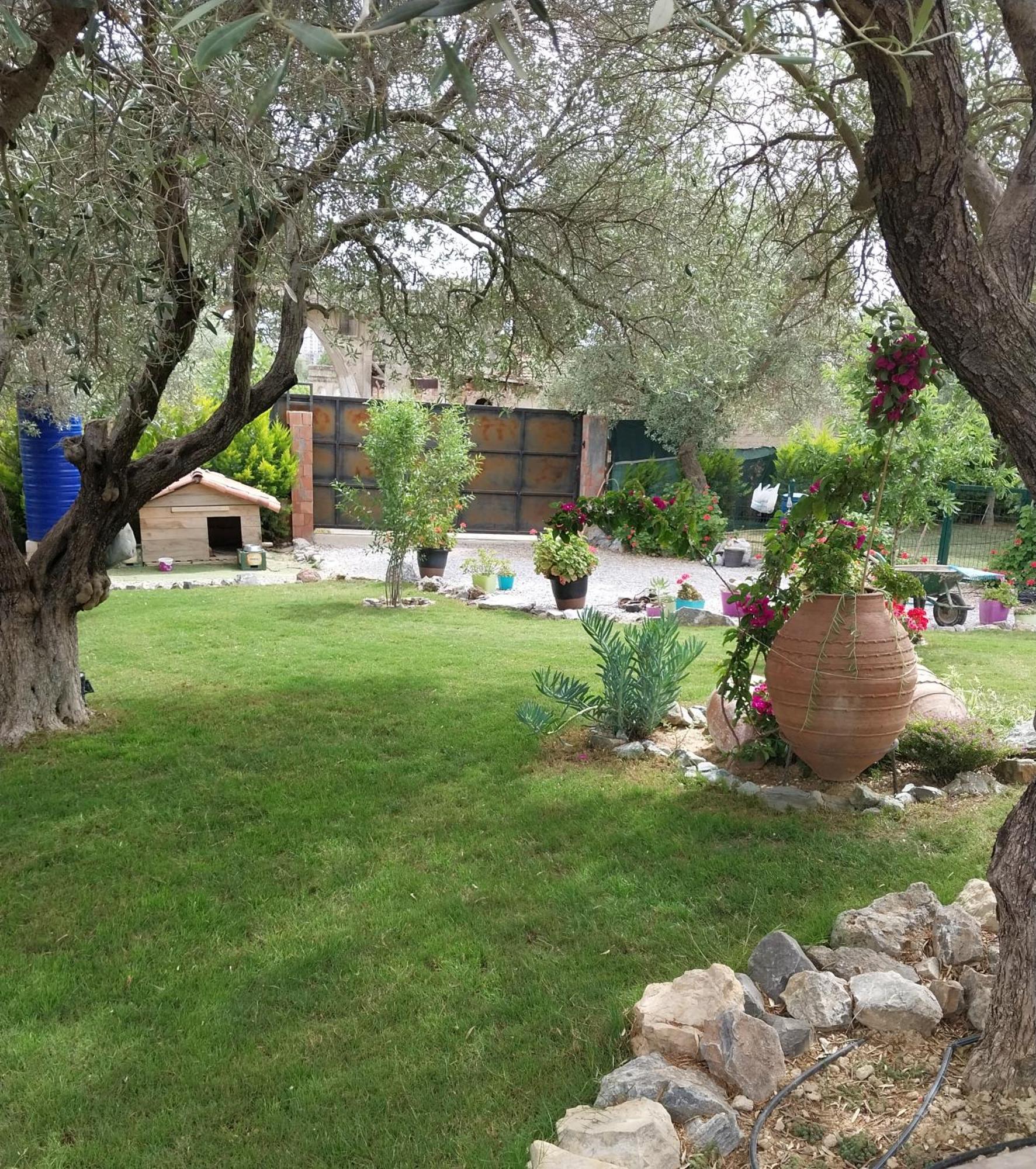 B&B Kusadasi